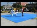 i torneo isla mayor  exhibicion 