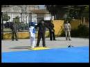 i torneo isla mayor  exhibicion 
