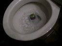 Will It flush?? Part 5 Halloween Edition Will It flush?? Part 5 Halloween Edition