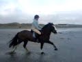 me canterin n gallopin on da beach