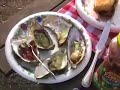 In Northern California, located out on the coast by Pt. Reyes Seashore, are several oyster companies that farm their own oysters. All of them farm their oysters along the marshes of coastal bays and are open to the public. You can buy them to take home, eat them raw at the farm, or at Tomales Bay Oyster Company, you can cook them on the grills they provide. We love making a day of it as we wind through the redwoods and along the scenic coast. We prepare much of our picnic and accompaniments at home and create a wonderful oyster feast with sourdough bread, garlic butter to dress the oysters, louisiana hot sauce, and a nice bottle of chardonnay. The marshes create such a serene backdrop and the winged wildlife is plentiful.