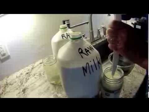 how to collect cream from raw milk