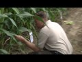 Agro-Liquid Fertilizers_Hefty Bros.wmv