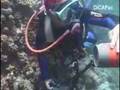 DiCAPac Scuba
