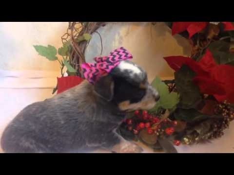 Im a pretty little girl!