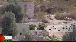 عين الزيتون   صفد