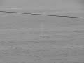 Whale off the Oregon Coast Whale off the Oregon Coast