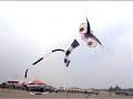 revolution kite - 4 lines monster - Taiwan kite Festival