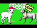  - MovieZen Video