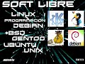 802party-v-deo-de-introduccin-.html