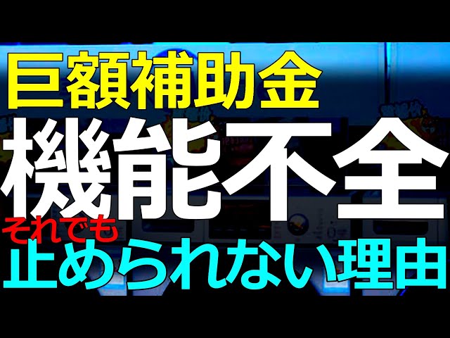 葦原大和が「中国の巨額補助金政策は不正の温床」と指摘