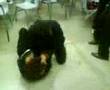 la krazy contra kazy =S