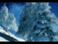 Adobe after effects snow