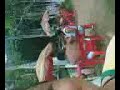 Carnaval em Vigia