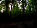 videos de bmxen in t bosch 2