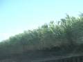 videos de Road of Maui Ⅲ