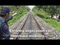 Preventing Elephant Deaths on India's Railways