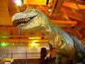 videos de Dinootje in grote speelgoedwinkel @ Times Square