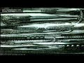 Cimax Animato.mov