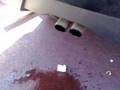videos de chorrillos.mp4