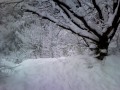 Winterse pracht II