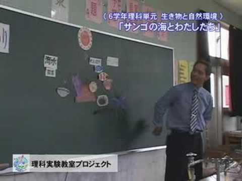 サンゴの海とわたしたち