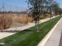 Elk Grove Civic Center Drive streetlights vandalized