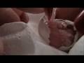 Baby bird hatching ( Baby parakeet hatching) Hatch1