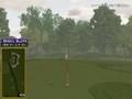 Golden Tee Great Shot on Sunny Wood!
