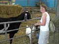 Farm World