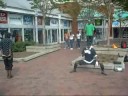 BEE JAY HARRIS AKA THE DANCING MONKEY VIDEO TO JD