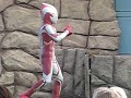 Ultraman Mebius Show