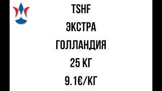 Купить TSHF TSHF