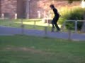 Skate-cribs Vol. 1