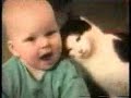 chat en folie