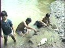 Los Habillos La Razilla bañandose en el Ancon