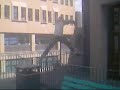 APG Video 1 APG Video 1