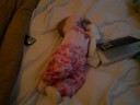 Daddas Sock