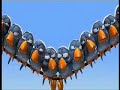 bird comedy bird comedy