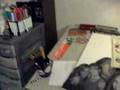 Graffiti Interview