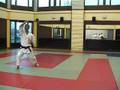 Wado Ryu Kata Pinan Nidan