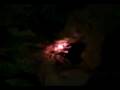 videos de Två LOKISAR!! :P