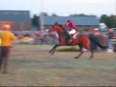 Puissance Ghlin 1,95m Puissance Ghlin 1,95m