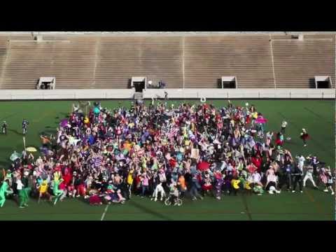 how to draw a k-state wildcat