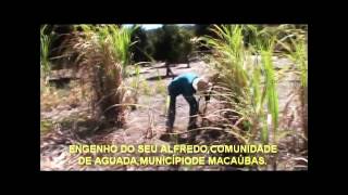 Cultura macaubense; produção artesanal de garapa, melado e rapadura