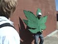 Weed