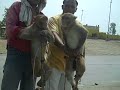 I liked a @YouTube video http://t.co/lsJPFEh1 Daily life in India - driving in traffic from New Delhi to Agra