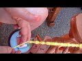 Wrap and Roll Plying Technique Wrap and Roll Plying Technique