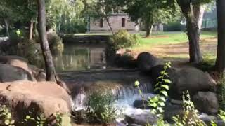 قرية الخالصة المحتلة قضاء صفد