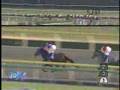 2001年_ジャパンカップダート_優勝馬クロフネ